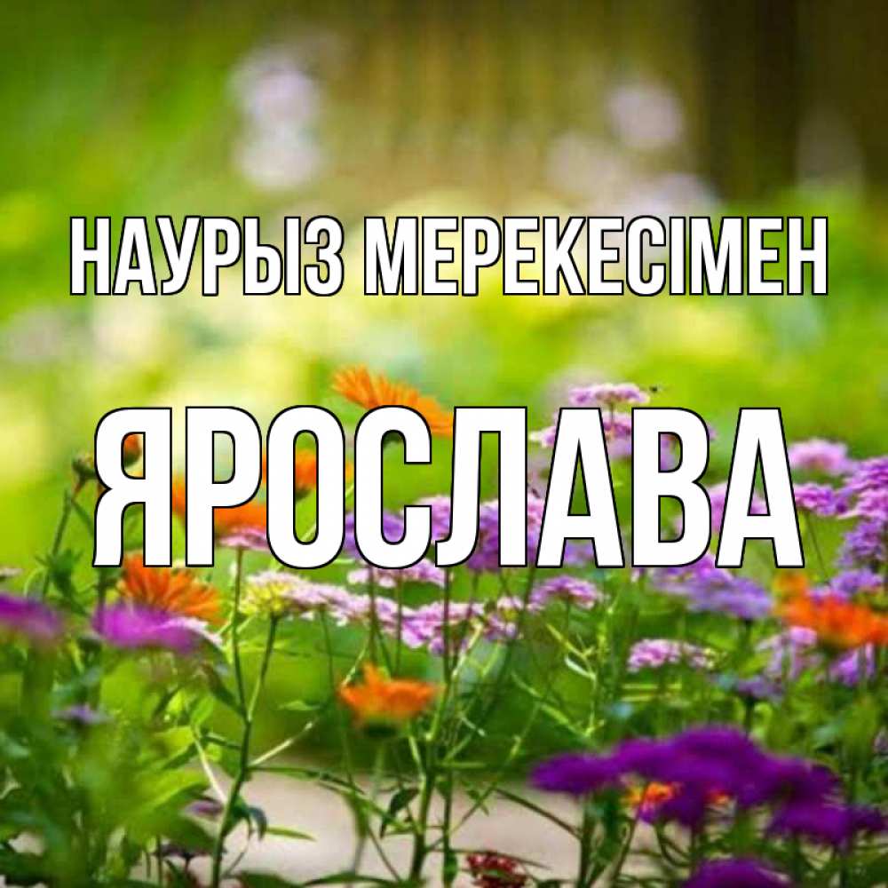 Күн сайын ашық хат с именем, Ярослава Наурыз мерекесімен цветы Онлайн тегін жүктеп алу тілектері бар керемет карта 