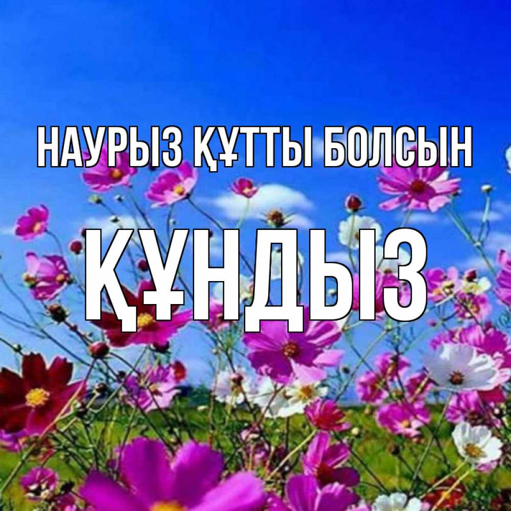 Күн сайын ашық хат с именем, ҚҰНДЫЗ Наурыз құтты болсын цветы Онлайн тегін жүктеп алу тілектері бар керемет карта 