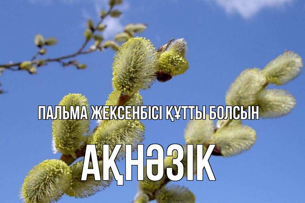 Күн сайын ашық хат с именем, АҚНӘЗІК Пальма жексенбісі құтты болсын верба Онлайн тегін жүктеп алу тілектері бар керемет карта 
