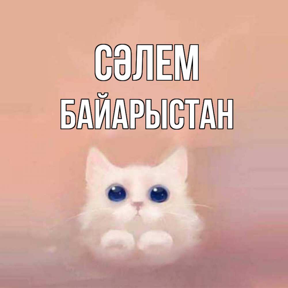 Күн сайын ашық хат с именем, Байарыстан Сәлем котик белый в полете Онлайн тегін жүктеп алу тілектері бар керемет карта 