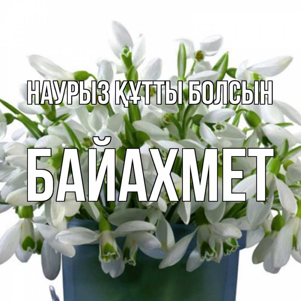 Күн сайын ашық хат с именем, Байахмет Наурыз құтты болсын цветы к наурызу Онлайн тегін жүктеп алу тілектері бар керемет карта 