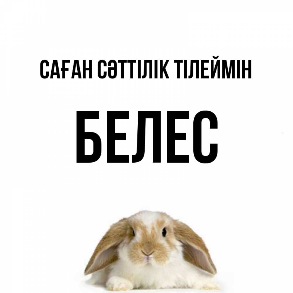 Күн сайын ашық хат с именем, Белес Саған сәттілік тілеймін открытки с произвольным текстом который можно вставить в открытку и создать ее самостоятельно бесплатно онлайн Онлайн тегін жүктеп алу тілектері бар керемет карта 