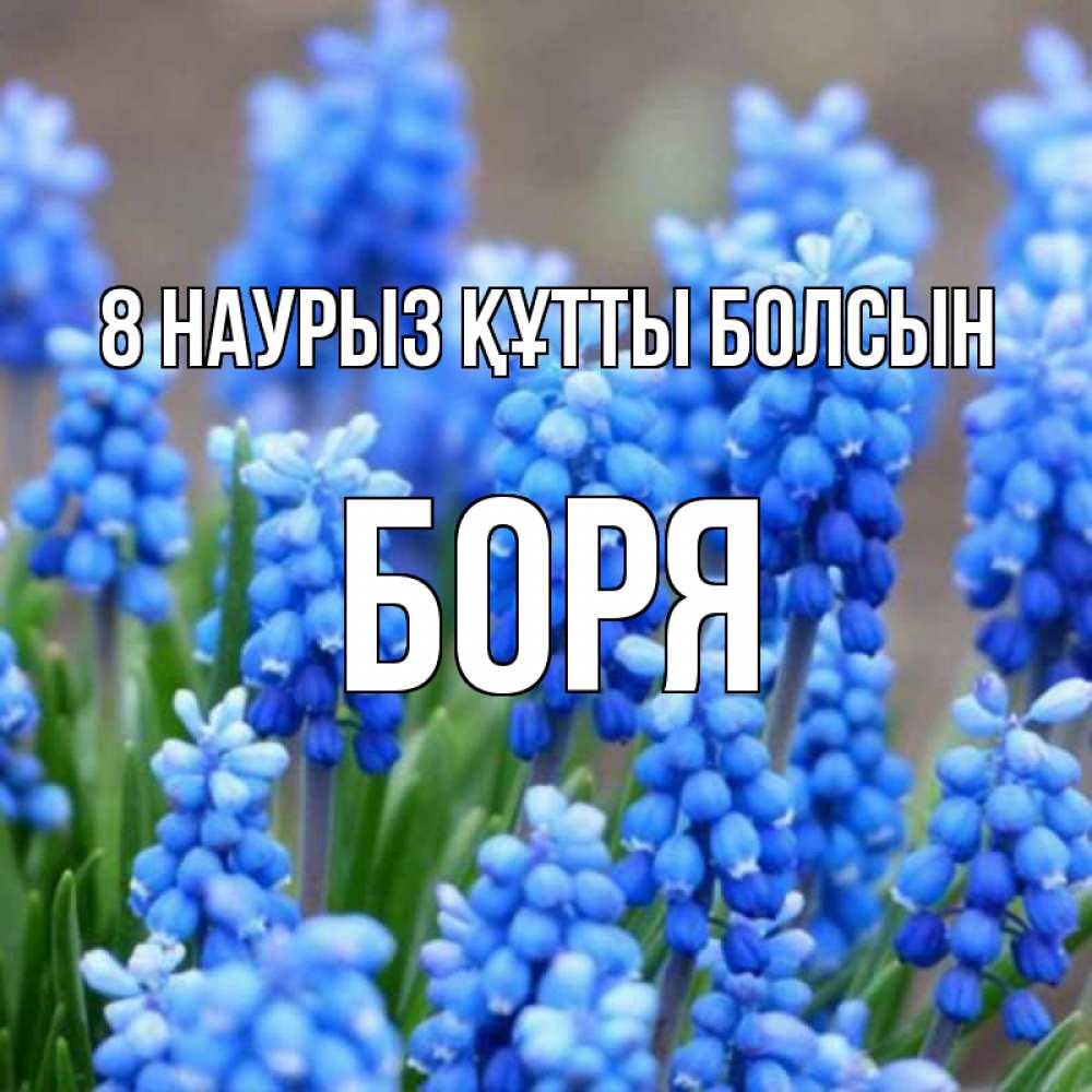 Күн сайын ашық хат с именем, Боря 8 наурыз құтты болсын Поздравительная открытка для женщин с цветами на праздничную дату Онлайн тегін жүктеп алу тілектері бар керемет карта 