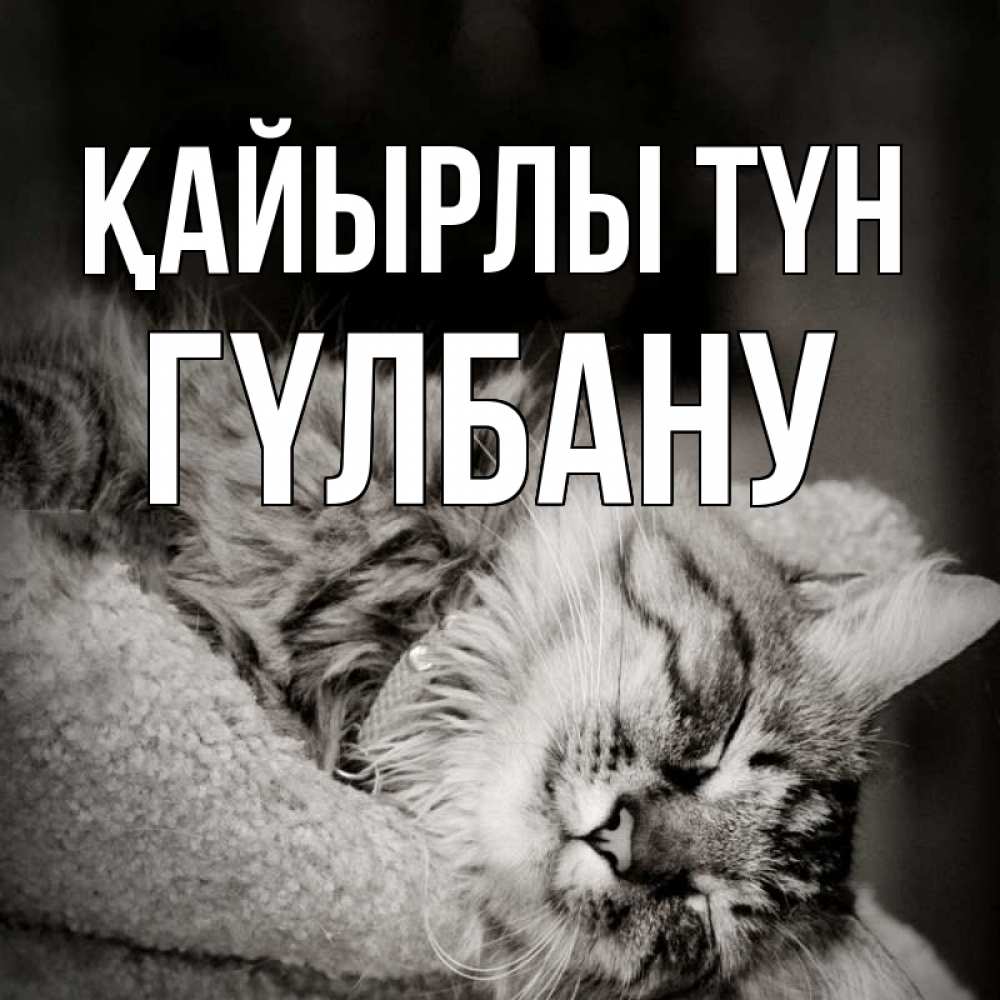 Күн сайын ашық хат с именем, ГҮЛБАНУ Қайырлы түн котярик пушистый Онлайн тегін жүктеп алу тілектері бар керемет карта 