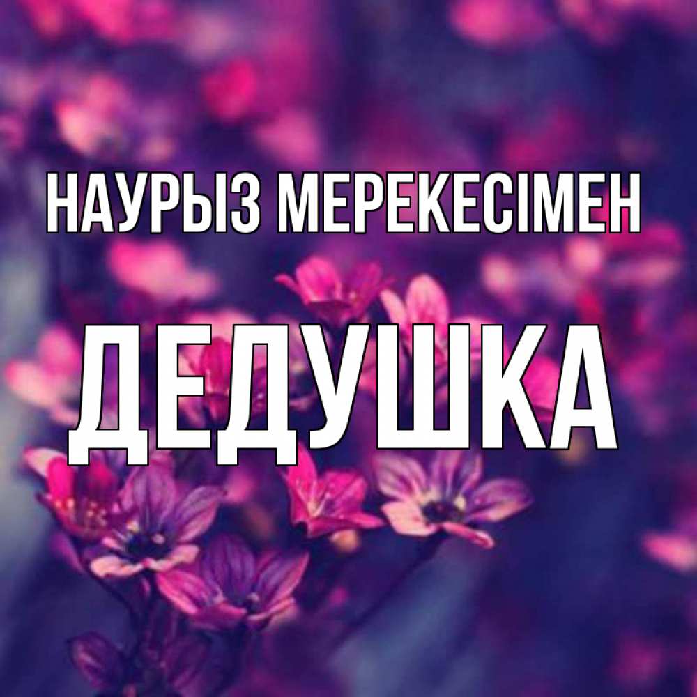 Күн сайын ашық хат с именем, Дедушка Наурыз мерекесімен небольшие цветы 1 Онлайн тегін жүктеп алу тілектері бар керемет карта 