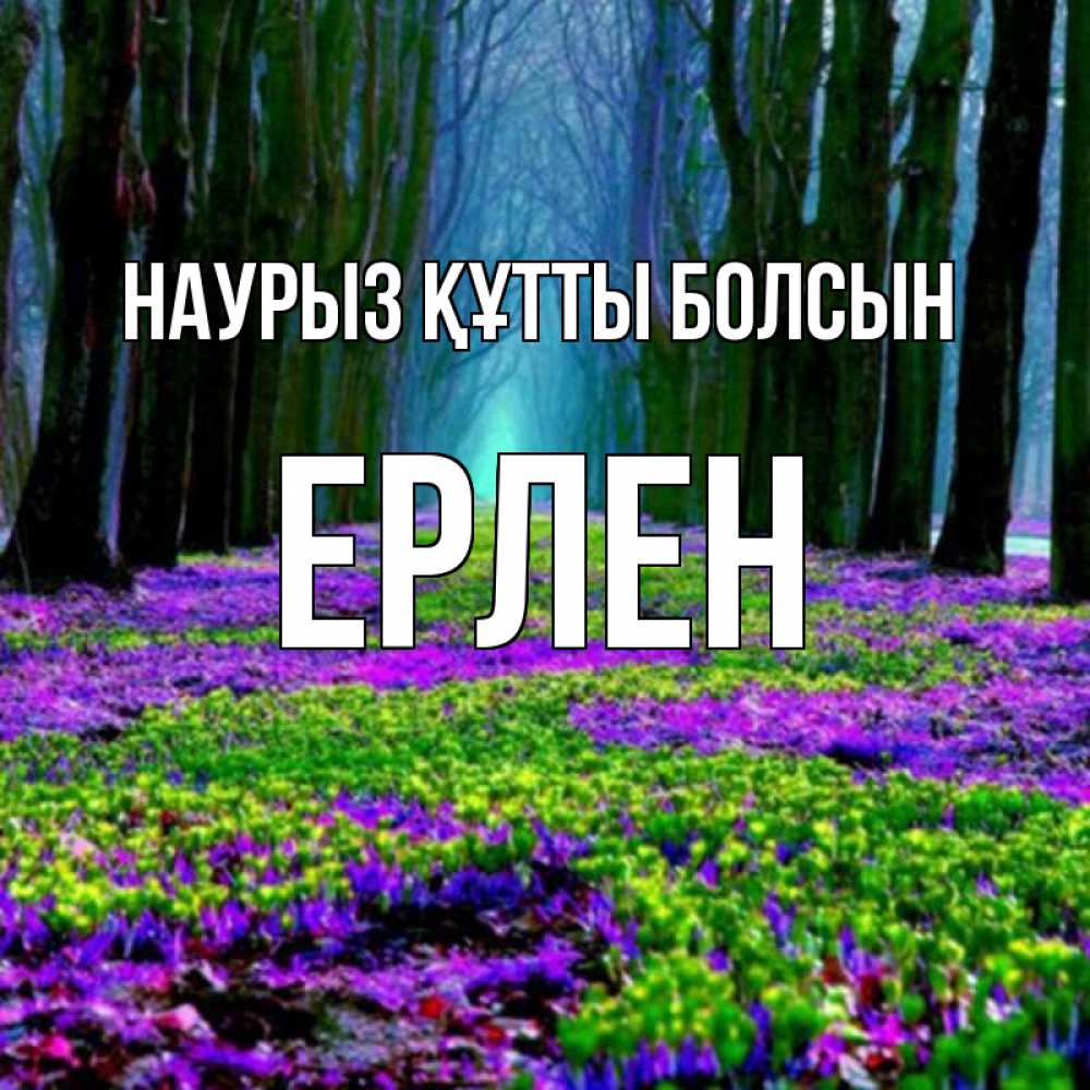 Күн сайын ашық хат с именем, Ерлен Наурыз құтты болсын фиолетовые цветы в лесу 1 Онлайн тегін жүктеп алу тілектері бар керемет карта 