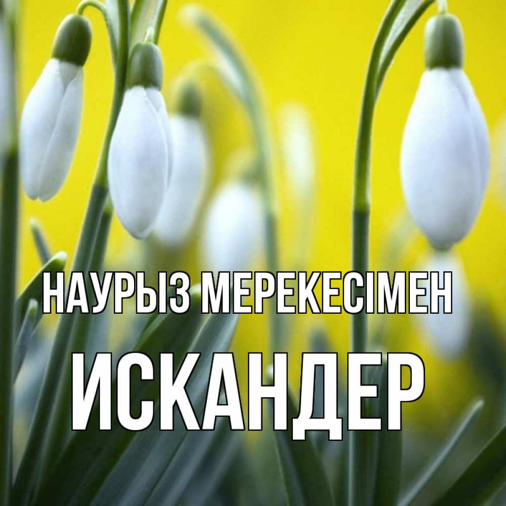 Күн сайын ашық хат с именем, Искандер Наурыз мерекесімен весенние цветы Онлайн тегін жүктеп алу тілектері бар керемет карта 