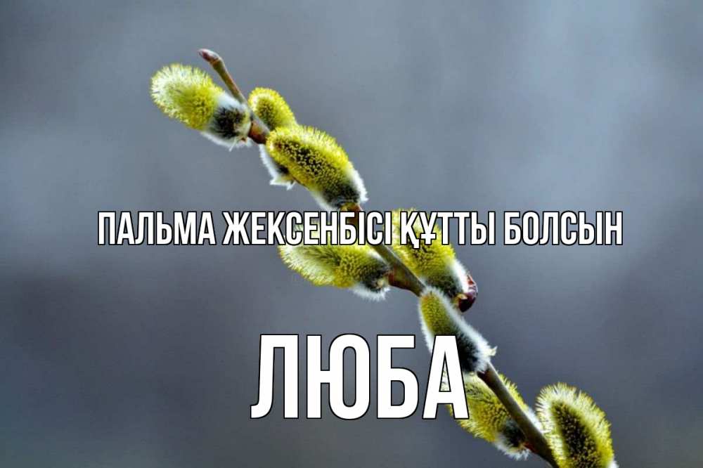 Күн сайын ашық хат с именем, Люба Пальма жексенбісі құтты болсын верба Онлайн тегін жүктеп алу тілектері бар керемет карта 