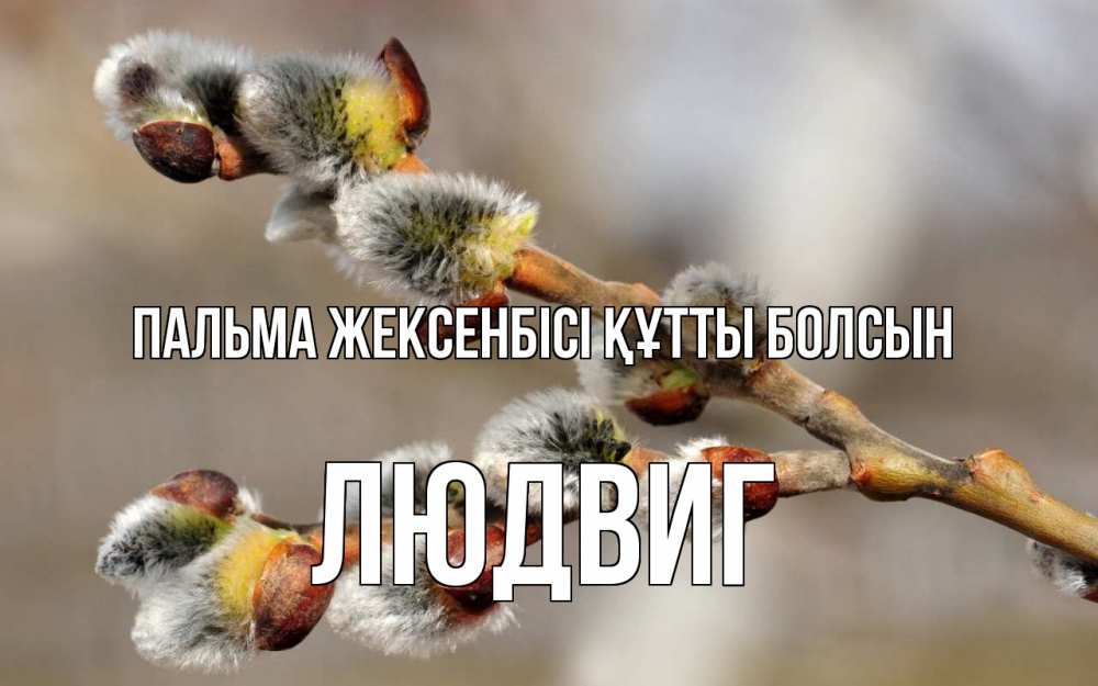 Күн сайын ашық хат с именем, Людвиг Пальма жексенбісі құтты болсын Верба Онлайн тегін жүктеп алу тілектері бар керемет карта 