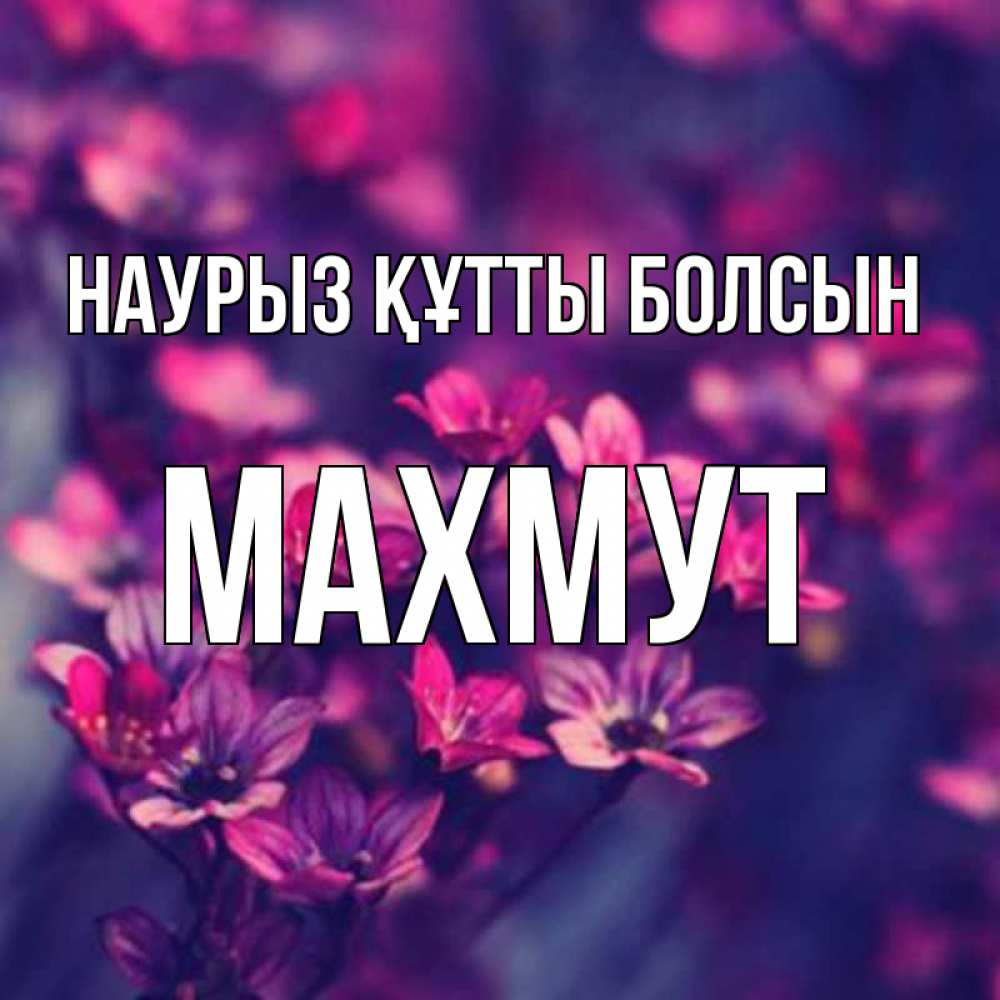 Күн сайын ашық хат с именем, МАХМУТ Наурыз құтты болсын небольшие цветы 1 Онлайн тегін жүктеп алу тілектері бар керемет карта 