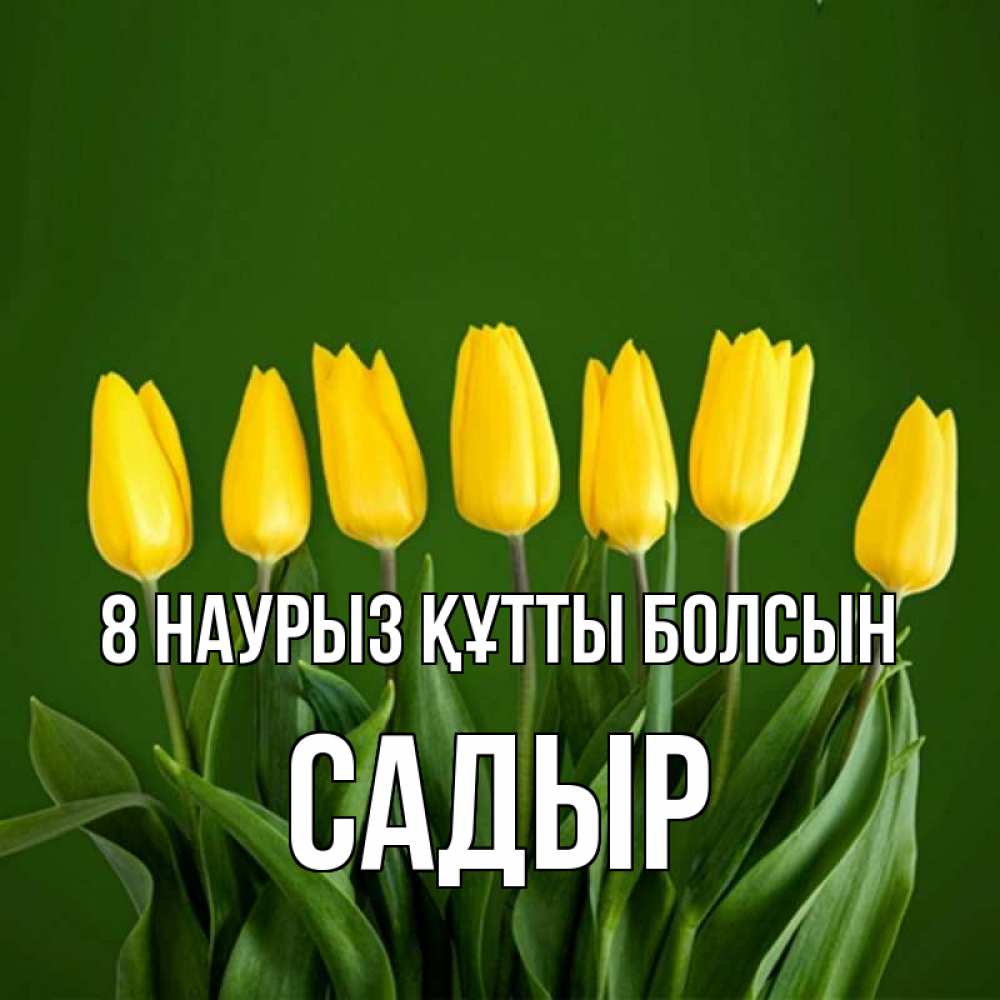 Күн сайын ашық хат с именем, САДЫР 8 наурыз құтты болсын желтого цвета 3 Онлайн тегін жүктеп алу тілектері бар керемет карта 