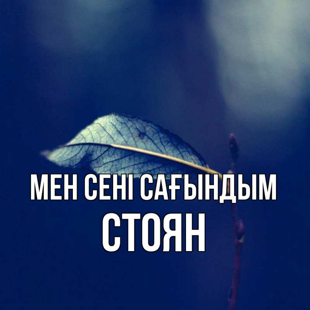 Күн сайын ашық хат с именем, Стоян Мен сені сағындым одна ветка 1 Онлайн тегін жүктеп алу тілектері бар керемет карта 