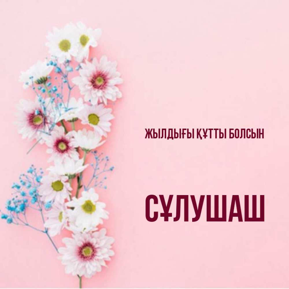Күн сайын ашық хат с именем, СҰЛУШАШ Жылдығы құтты болсын Родная моя с днем рождения тебя картинка с цветами белыми и голубыми Онлайн тегін жүктеп алу тілектері бар керемет карта 