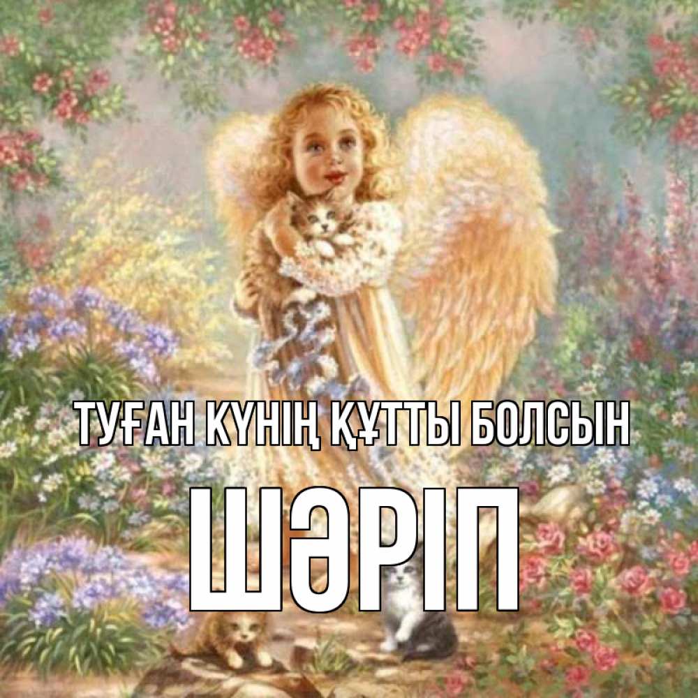 Күн сайын ашық хат с именем, ШӘРІП Туған күнің құтты болсын держит котенка Онлайн тегін жүктеп алу тілектері бар керемет карта 