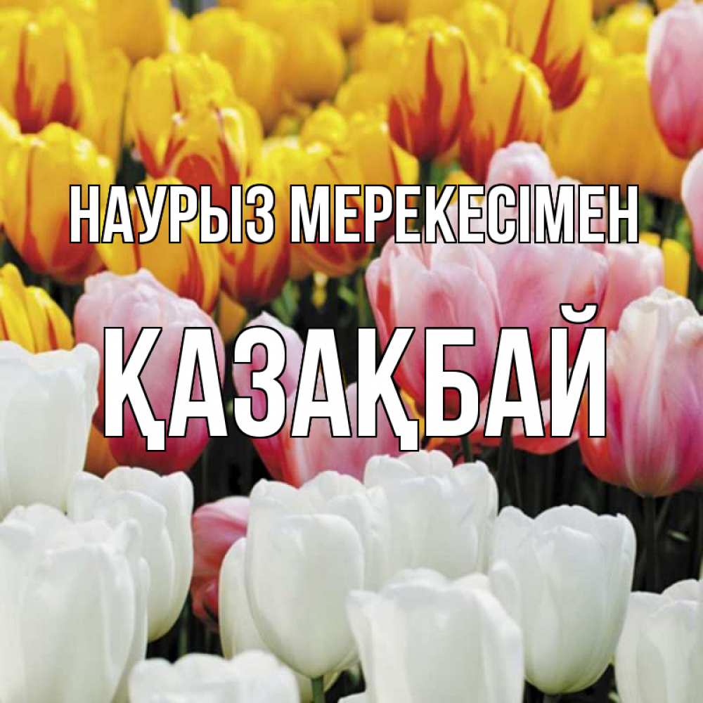 Күн сайын ашық хат с именем, Қазақбай Наурыз мерекесімен разноцветные цветы Онлайн тегін жүктеп алу тілектері бар керемет карта 