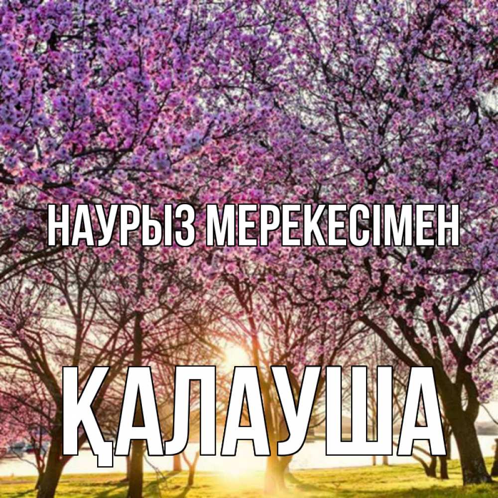 Күн сайын ашық хат с именем, Қалауша Наурыз мерекесімен праздник весны наурыз Онлайн тегін жүктеп алу тілектері бар керемет карта 
