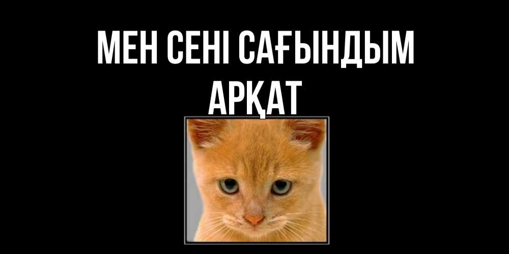 Күн сайын ашық хат с именем, Арқат Мен сені сағындым открытки рыжий котенок скучает по тебе Онлайн тегін жүктеп алу тілектері бар керемет карта 