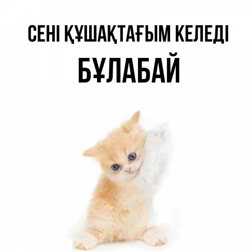 Күн сайын ашық хат с именем, Бұлабай сені құшақтағым келеді я хочу очень скорее обнимаешек Онлайн тегін жүктеп алу тілектері бар керемет карта 