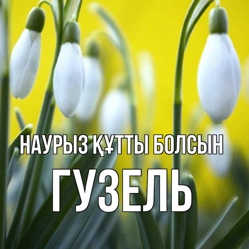 Күн сайын ашық хат с именем, Гузель Наурыз құтты болсын весенние цветы Онлайн тегін жүктеп алу тілектері бар керемет карта 