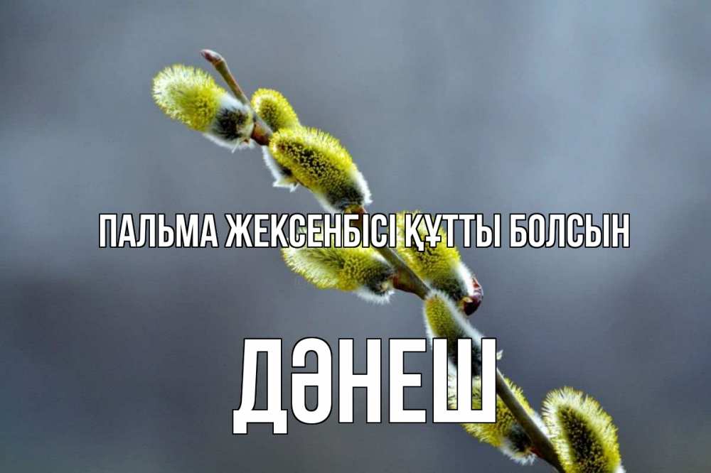 Күн сайын ашық хат с именем, ДӘНЕШ Пальма жексенбісі құтты болсын верба Онлайн тегін жүктеп алу тілектері бар керемет карта 
