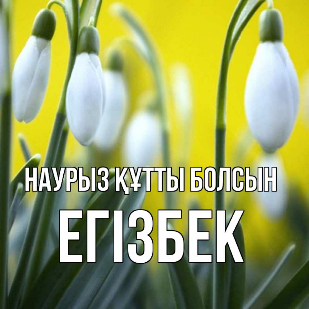 Күн сайын ашық хат с именем, Егізбек Наурыз құтты болсын весенние цветы Онлайн тегін жүктеп алу тілектері бар керемет карта 