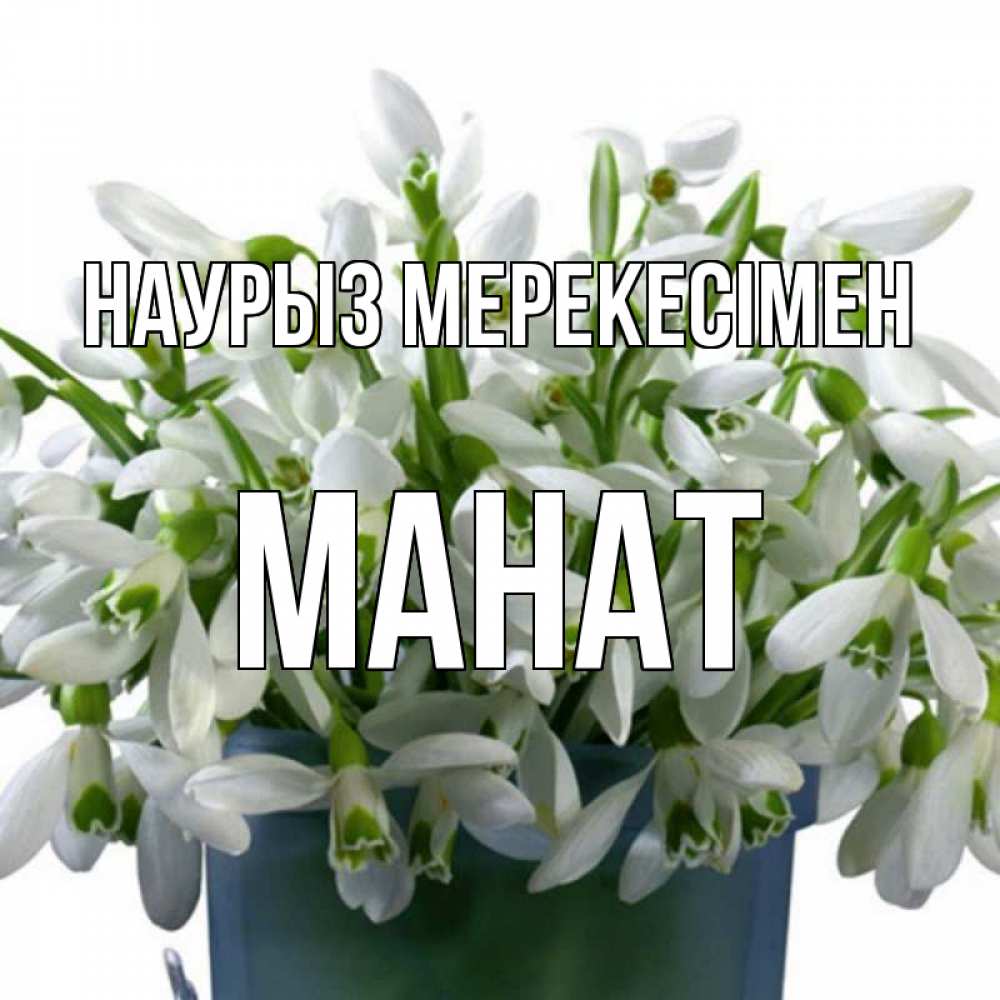 Күн сайын ашық хат с именем, МАНАТ Наурыз мерекесімен цветы к наурызу новый год в Казахстане Онлайн тегін жүктеп алу тілектері бар керемет карта 
