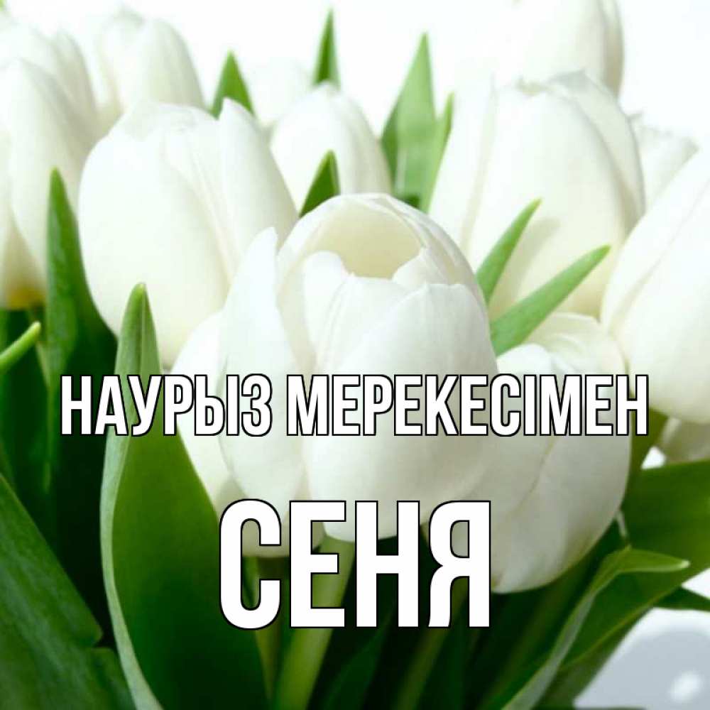 Күн сайын ашық хат с именем, Сеня Наурыз мерекесімен цветы Онлайн тегін жүктеп алу тілектері бар керемет карта 