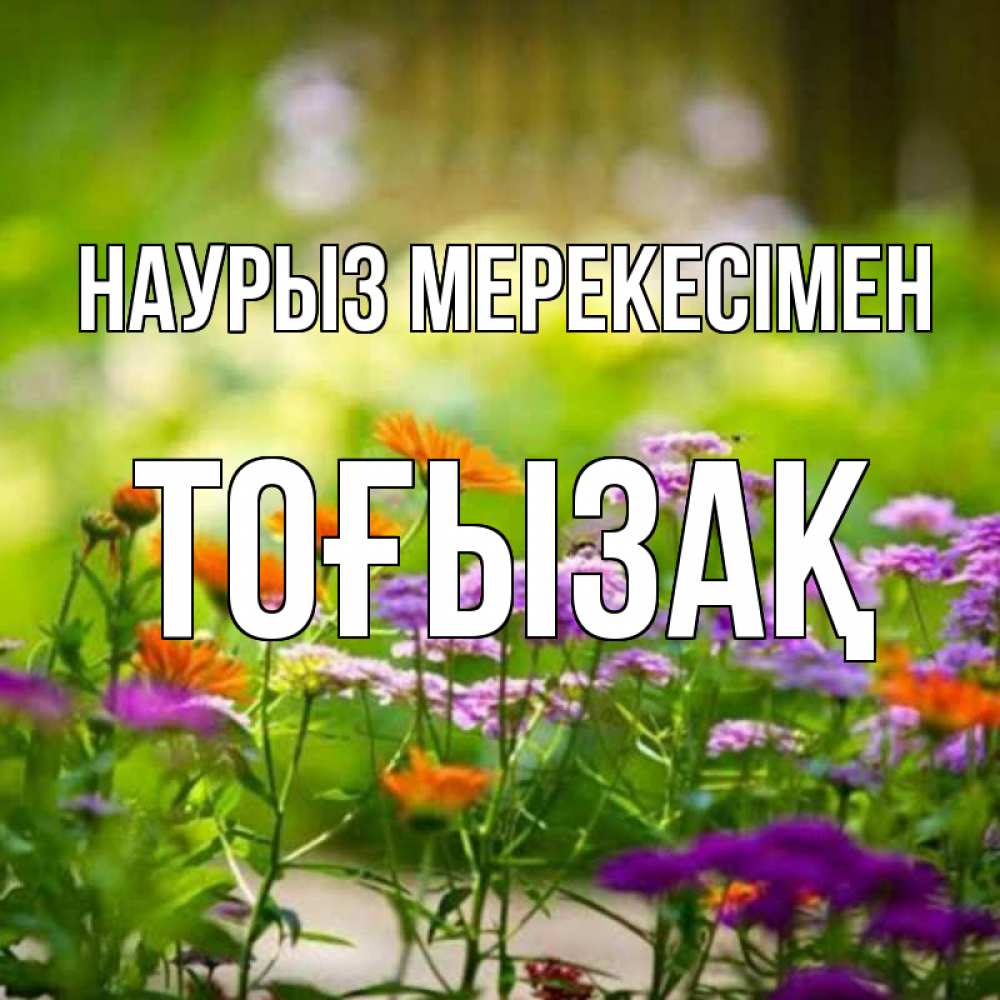 Күн сайын ашық хат с именем, ТОҒЫЗАҚ Наурыз мерекесімен цветы Онлайн тегін жүктеп алу тілектері бар керемет карта 