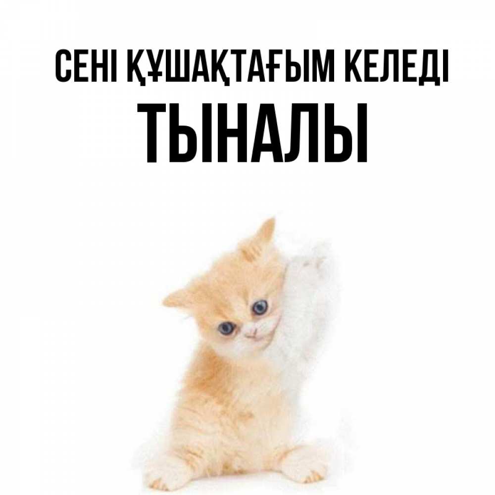 Күн сайын ашық хат с именем, ТЫНАЛЫ сені құшақтағым келеді я хочу очень скорее обнимаешек Онлайн тегін жүктеп алу тілектері бар керемет карта 