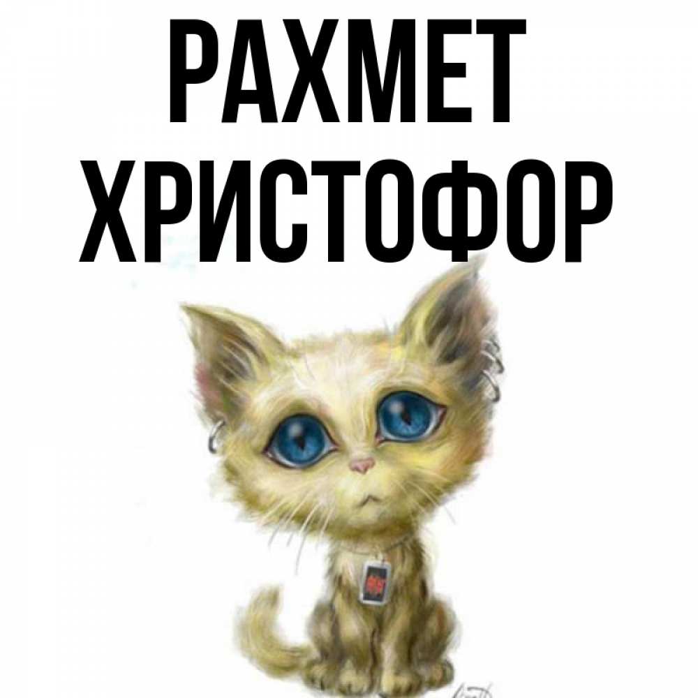 Күн сайын ашық хат с именем, Христофор рахмет рисованный кот благодарит вас Онлайн тегін жүктеп алу тілектері бар керемет карта 