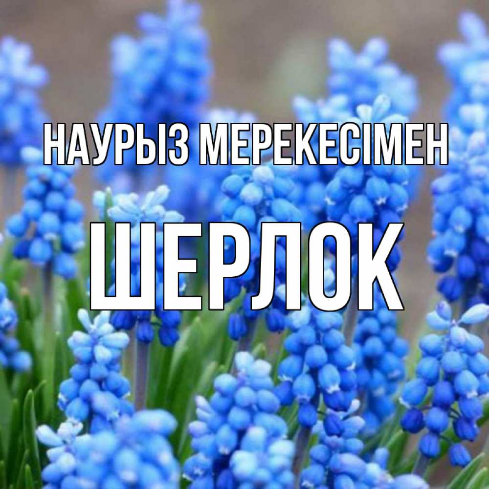 Күн сайын ашық хат с именем, Шерлок Наурыз мерекесімен Поздравительная открытка для женщин с цветами на праздничную дату Онлайн тегін жүктеп алу тілектері бар керемет карта 