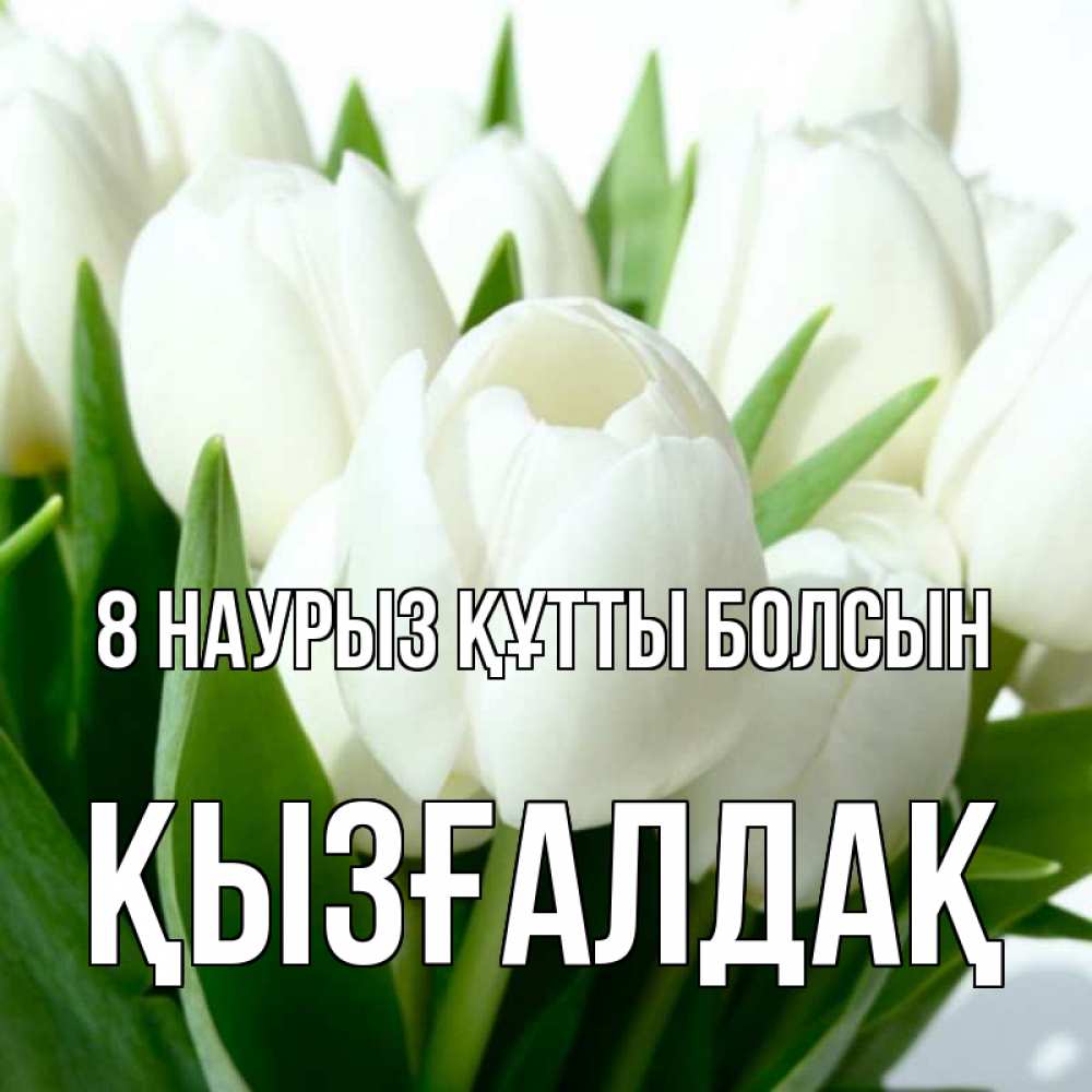 Күн сайын ашық хат с именем, ҚЫЗҒАЛДАҚ 8 наурыз құтты болсын цветы Онлайн тегін жүктеп алу тілектері бар керемет карта 
