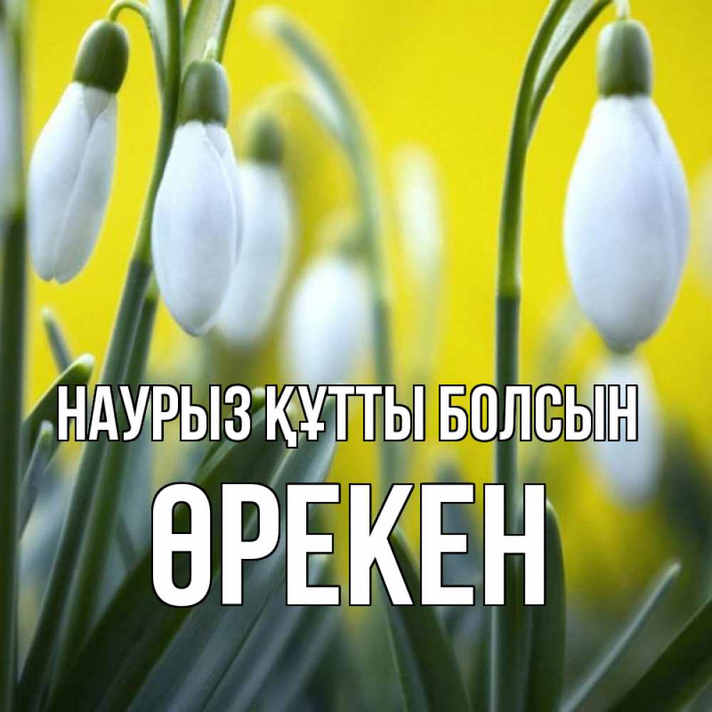 Күн сайын ашық хат с именем, ӨРЕКЕН Наурыз құтты болсын весенние цветы Онлайн тегін жүктеп алу тілектері бар керемет карта 