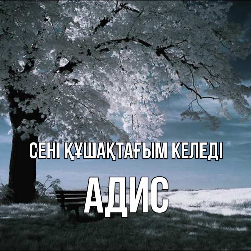 Күн сайын ашық хат с именем, Адис сені құшақтағым келеді дерево Онлайн тегін жүктеп алу тілектері бар керемет карта 