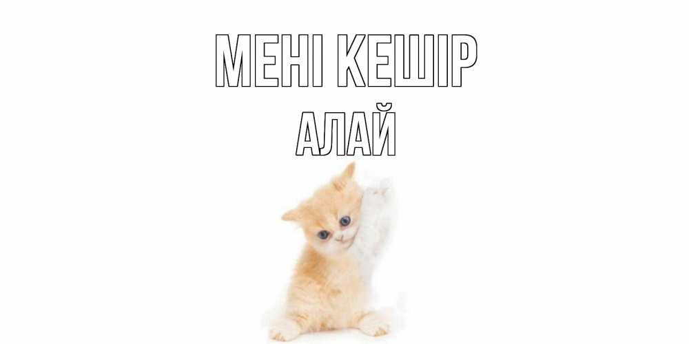 Күн сайын ашық хат с именем, Алай Мені кешір кот Онлайн тегін жүктеп алу тілектері бар керемет карта 