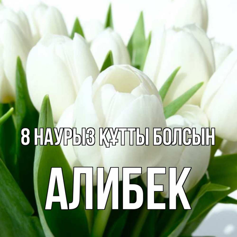 Күн сайын ашық хат с именем, Алибек 8 наурыз құтты болсын цветы Онлайн тегін жүктеп алу тілектері бар керемет карта 