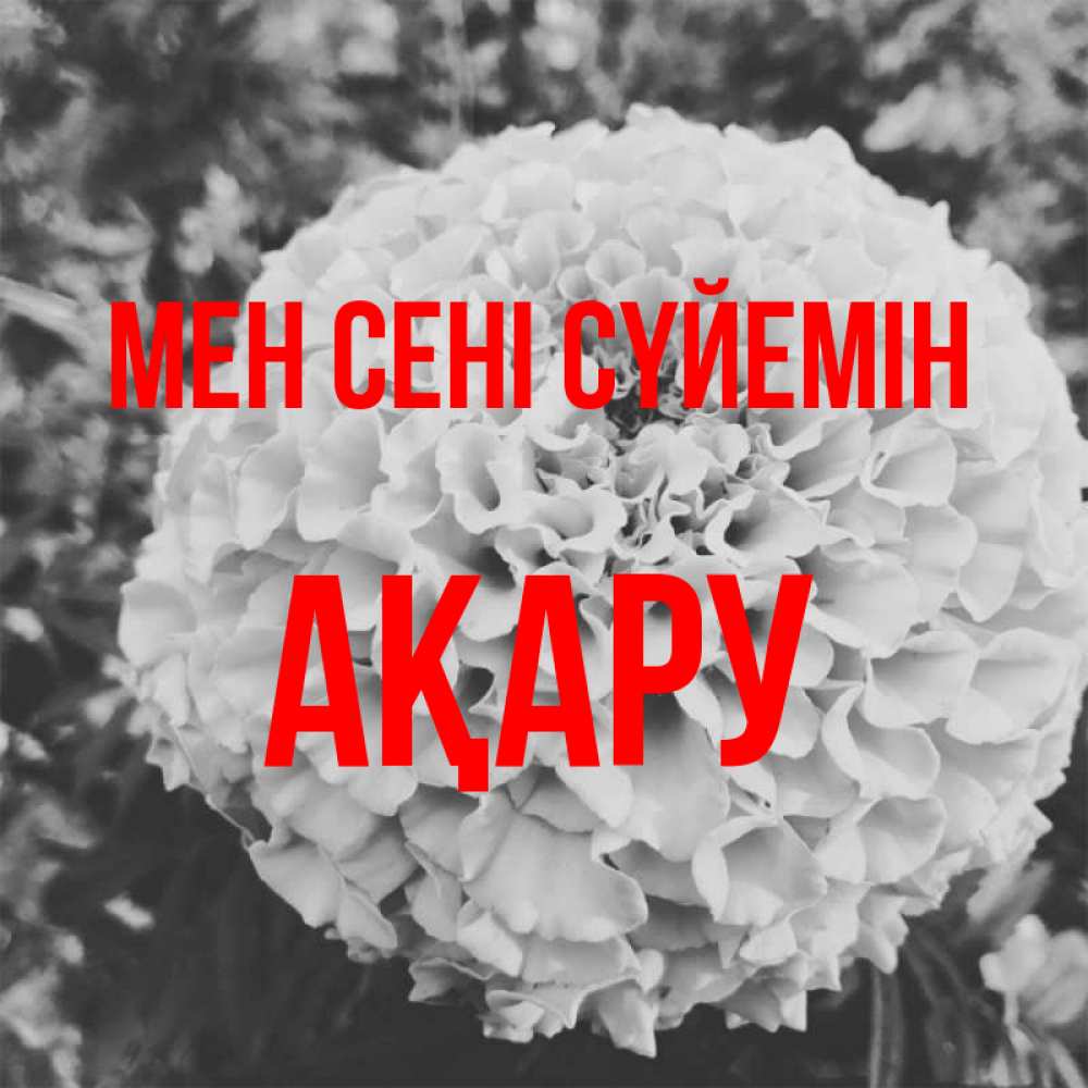 Күн сайын ашық хат с именем, АҚАРУ Мен сені сүйемін подпись Онлайн тегін жүктеп алу тілектері бар керемет карта 