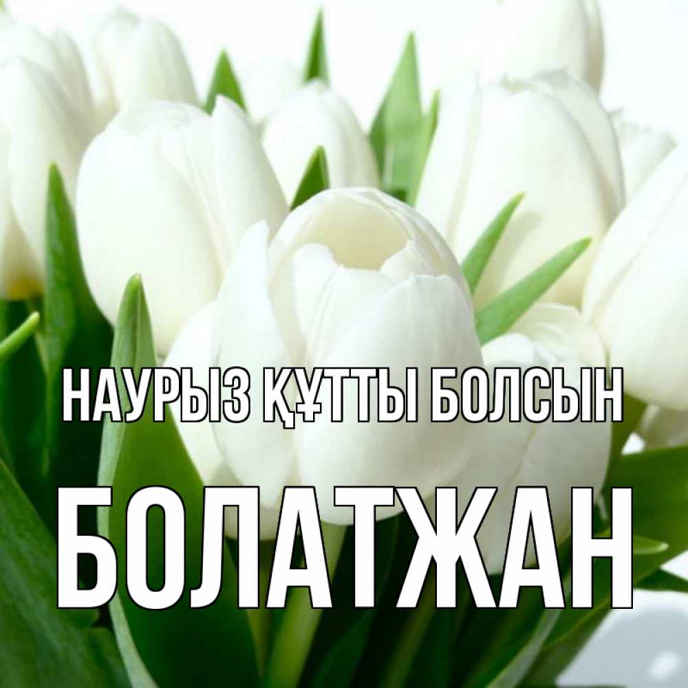 Күн сайын ашық хат с именем, Болатжан Наурыз құтты болсын цветы Онлайн тегін жүктеп алу тілектері бар керемет карта 