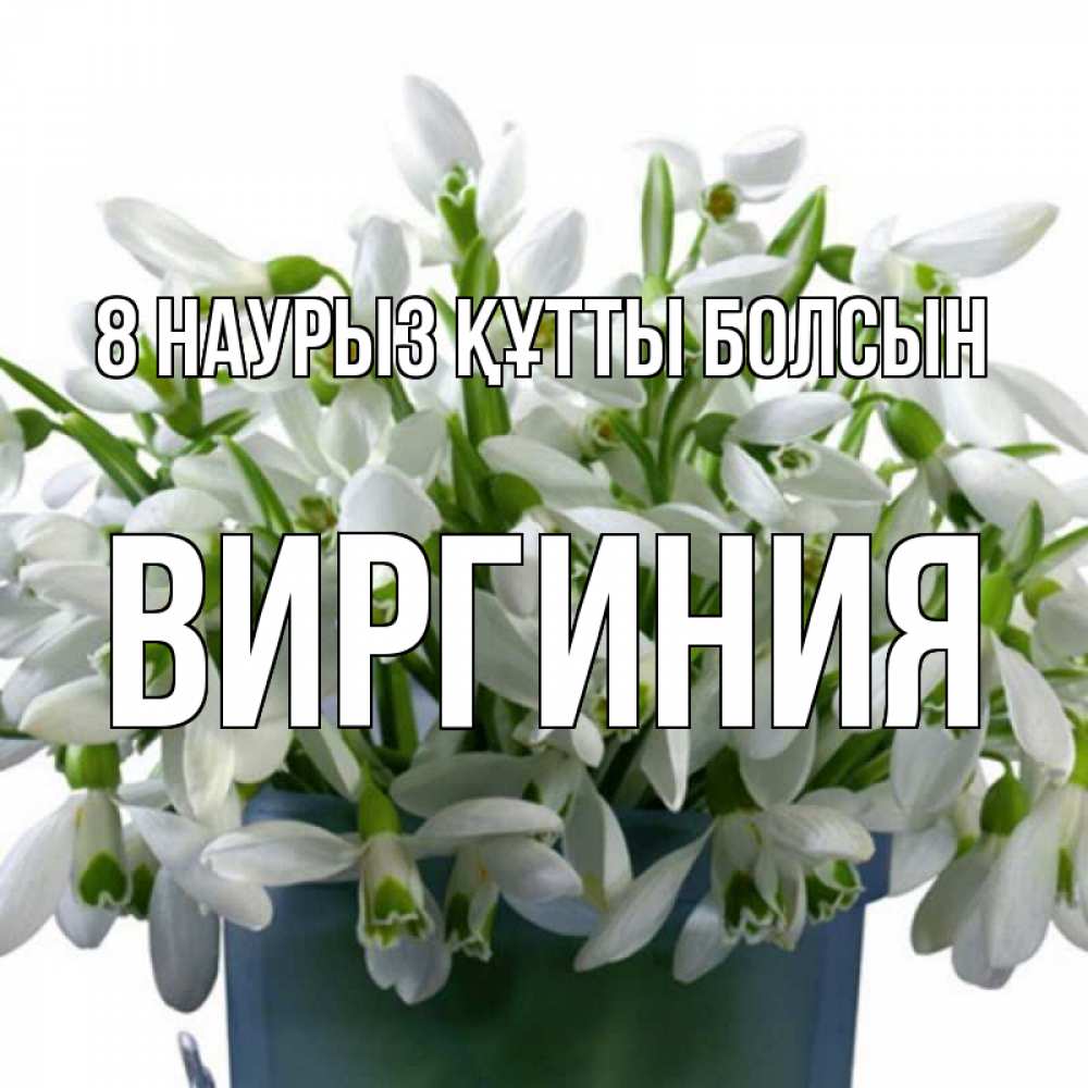Күн сайын ашық хат с именем, Виргиния 8 наурыз құтты болсын цветы к международному женскому дню Онлайн тегін жүктеп алу тілектері бар керемет карта 