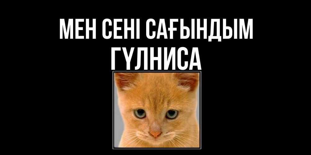 Күн сайын ашық хат с именем, ГҮЛНИСА Мен сені сағындым открытки рыжий котенок скучает по тебе Онлайн тегін жүктеп алу тілектері бар керемет карта 