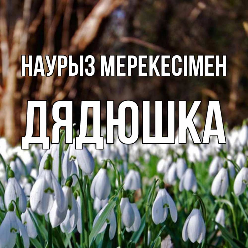 Күн сайын ашық хат с именем, Дядюшка Наурыз мерекесімен с подснежниками 1 Онлайн тегін жүктеп алу тілектері бар керемет карта 