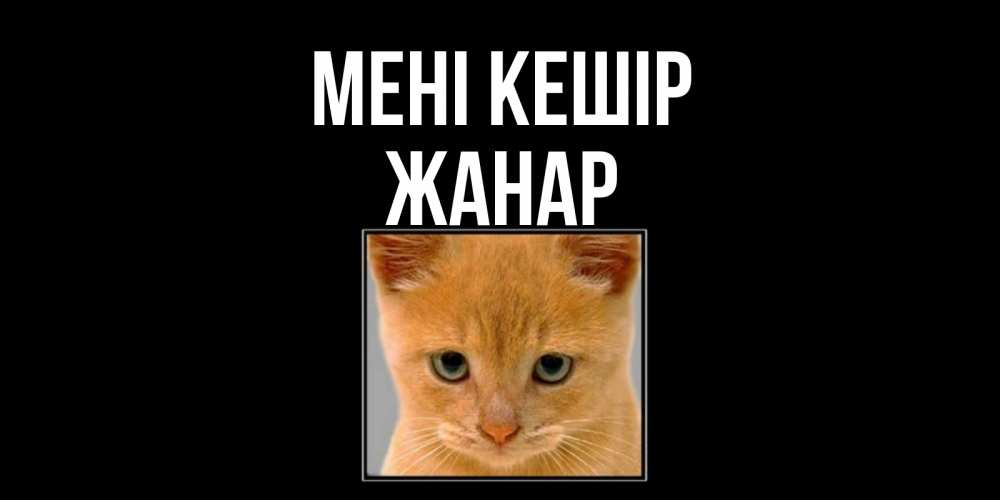 Күн сайын ашық хат с именем, ЖАНАР Мені кешір рыжий грустный кот просит прощения Онлайн тегін жүктеп алу тілектері бар керемет карта 