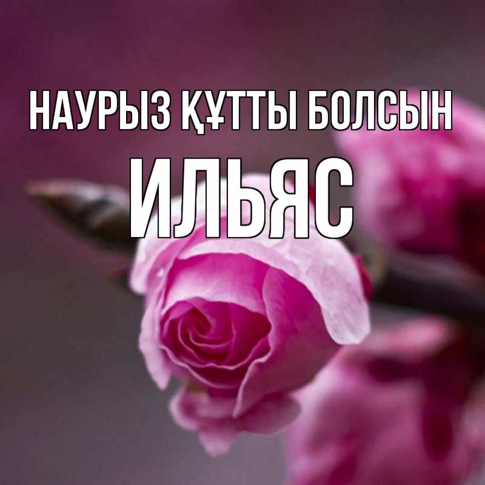 Күн сайын ашық хат с именем, Ильяс Наурыз құтты болсын весна Онлайн тегін жүктеп алу тілектері бар керемет карта 