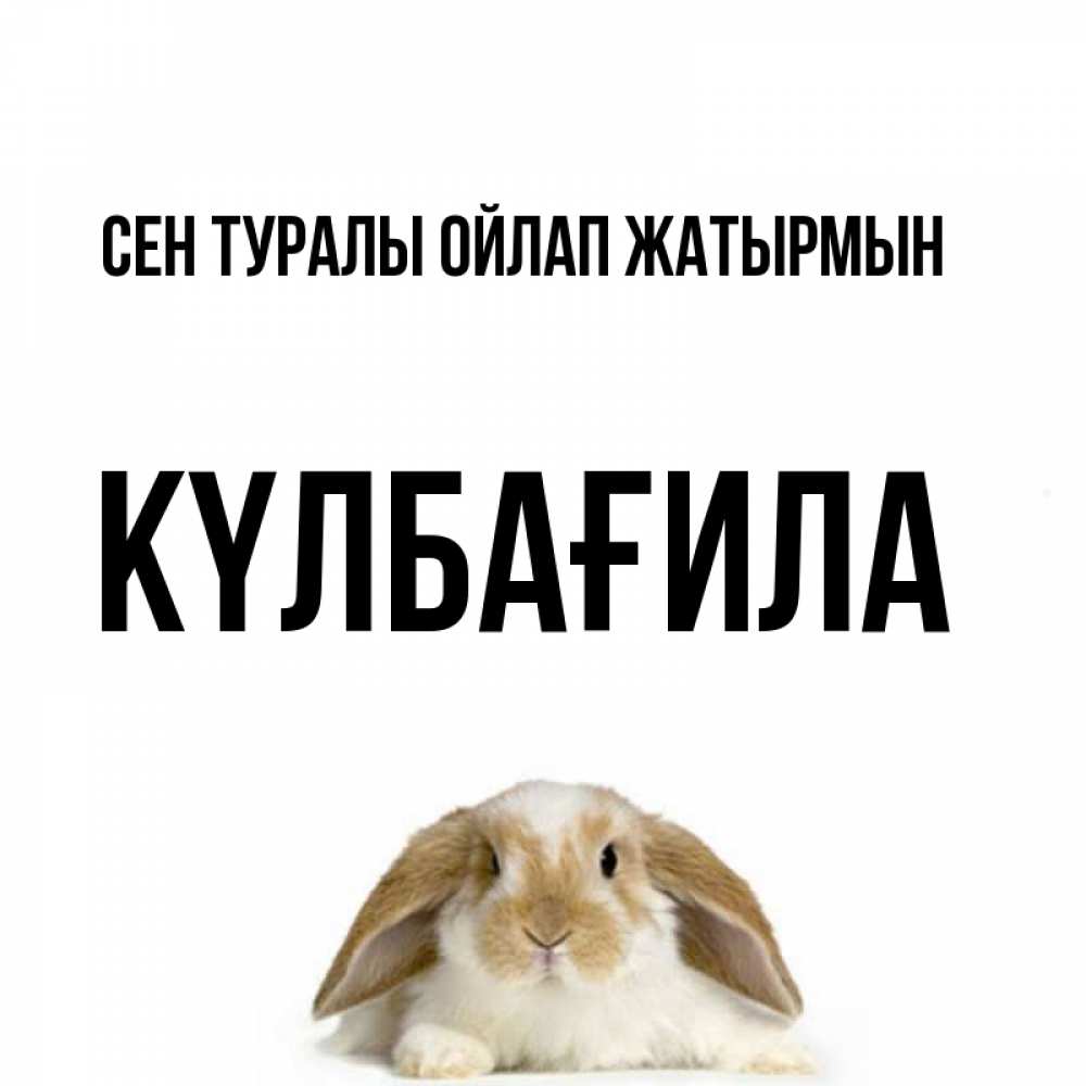Күн сайын ашық хат с именем, КҮЛБАҒИЛА Сен туралы ойлап жатырмын подписать своими руками онлайн Онлайн тегін жүктеп алу тілектері бар керемет карта 
