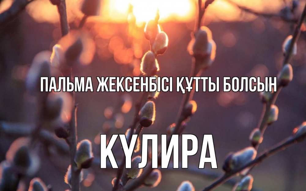 Күн сайын ашық хат с именем, КҮЛИРА Пальма жексенбісі құтты болсын верба Онлайн тегін жүктеп алу тілектері бар керемет карта 