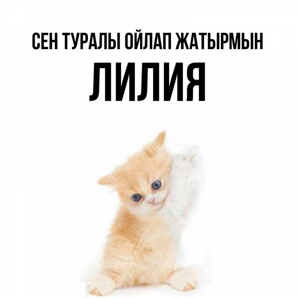 Күн сайын ашық хат с именем, Лилия Сен туралы ойлап жатырмын зверушки и милота Онлайн тегін жүктеп алу тілектері бар керемет карта 