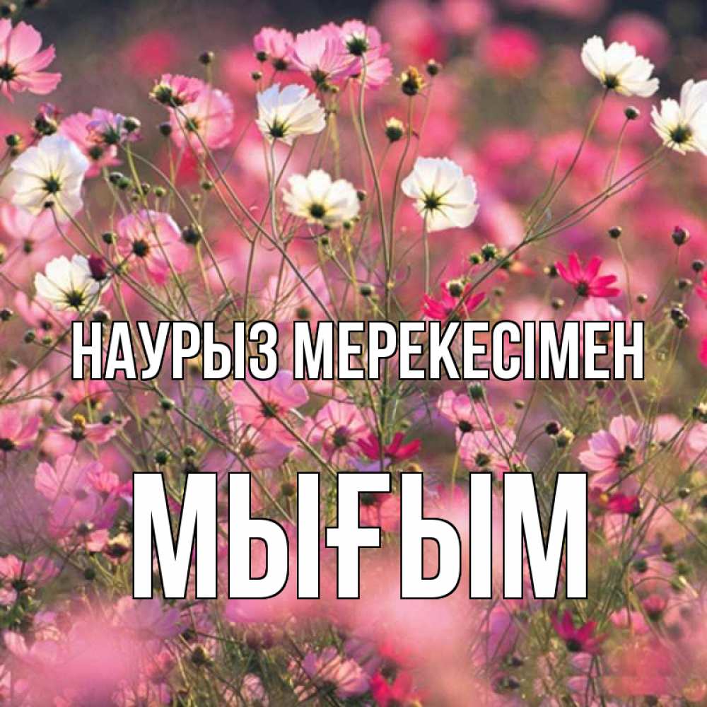 Күн сайын ашық хат с именем, МЫҒЫМ Наурыз мерекесімен красиво 1 Онлайн тегін жүктеп алу тілектері бар керемет карта 