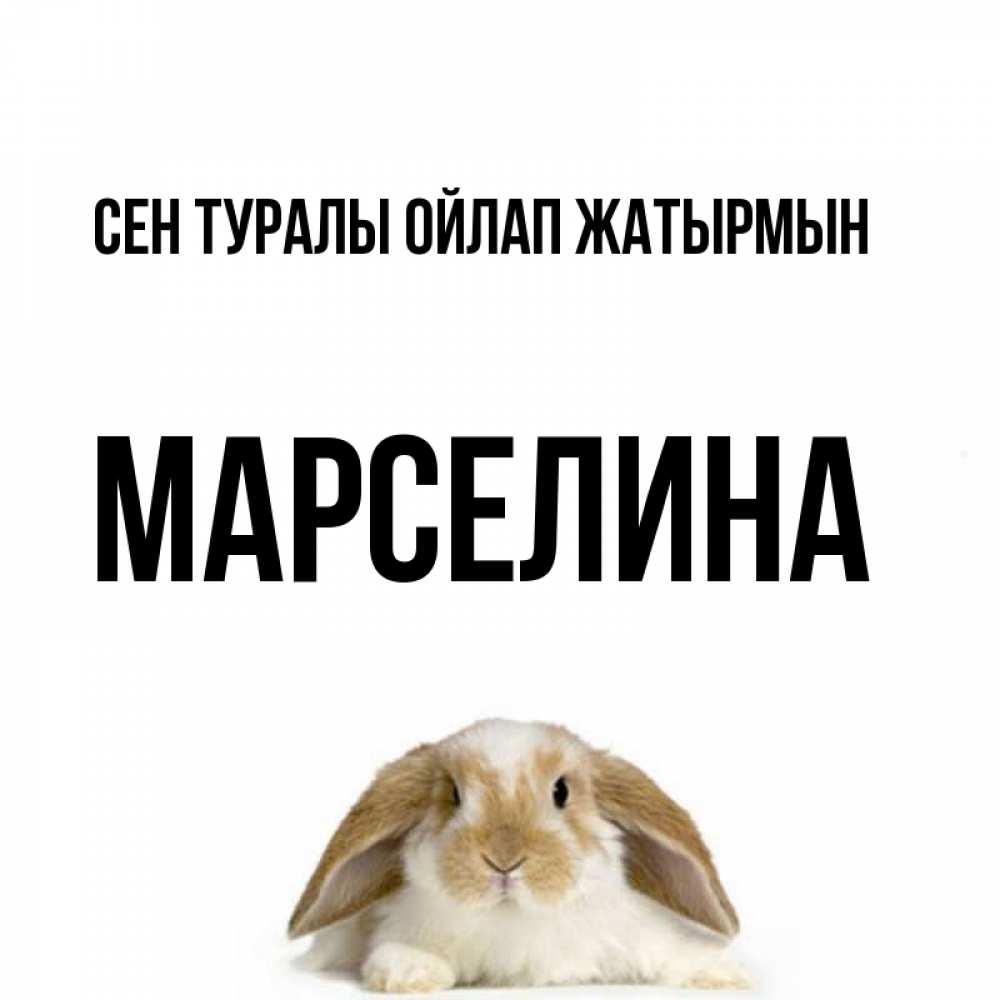 Күн сайын ашық хат с именем, Марселина Сен туралы ойлап жатырмын подписать своими руками онлайн Онлайн тегін жүктеп алу тілектері бар керемет карта 