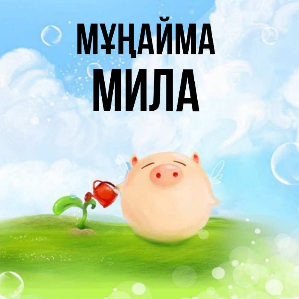 Күн сайын ашық хат с именем, Мила Мұңайма поливает цветок порося Онлайн тегін жүктеп алу тілектері бар керемет карта 