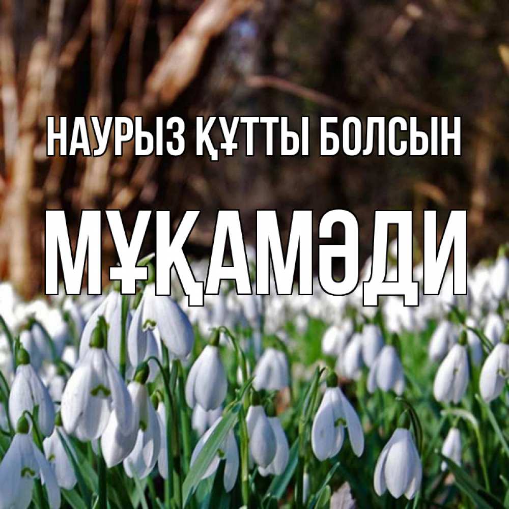 Күн сайын ашық хат с именем, МҰҚАМӘДИ Наурыз құтты болсын с подснежниками 1 Онлайн тегін жүктеп алу тілектері бар керемет карта 